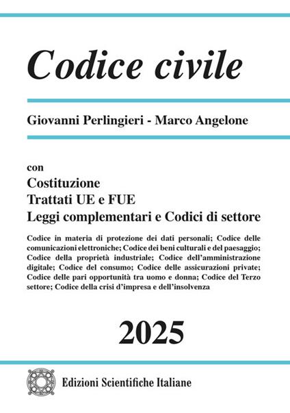 Codice civile - Giovanni Perlingieri,Marco Angelone - copertina
