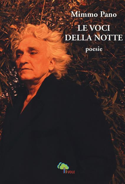 Le voci della notte - Mimmo Pano - copertina
