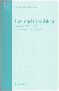 L'azienda pubblica. Gestione, rivelazione, programmazione, controllo
