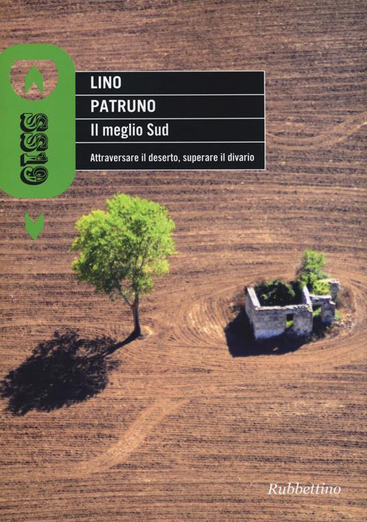 Il meglio sud. Attraversare il deserto, superare il divario - Lino Patruno - copertina
