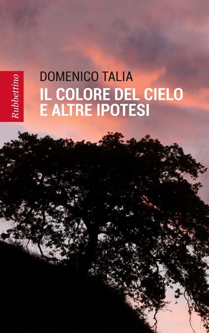 Il colore del cielo e altre ipotesi - Domenico Talia - copertina