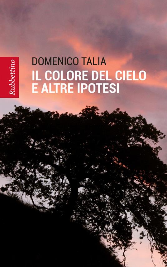 Il colore del cielo e altre ipotesi - Domenico Talia - copertina
