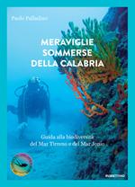 Meraviglie sommerse della Calabria. Guida alla biodiversità del Mar Tirreno e del Mar Jonio