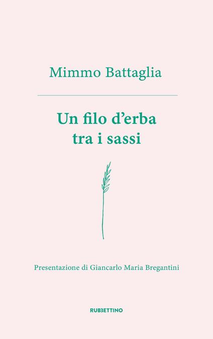 Un filo d'erba tra i sassi - Mimmo Battaglia - ebook