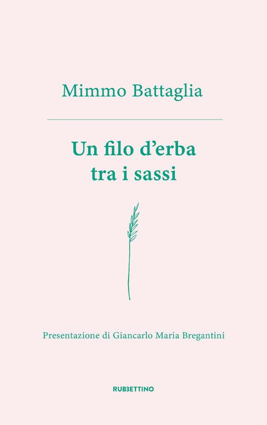 Un filo d'erba tra i sassi - Mimmo Battaglia - ebook