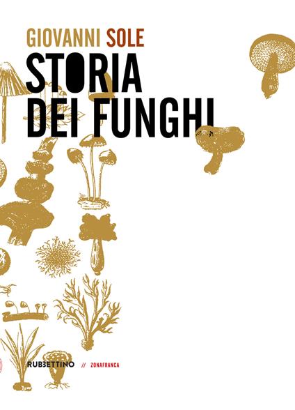 Storia dei funghi - Giovanni Sole - copertina