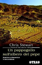 Libreria Postumia