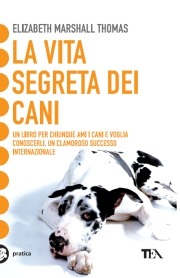 Libreria Postumia