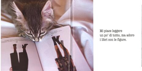 La parola ai gatti. Ediz. a colori - Patrizia Traverso - 4