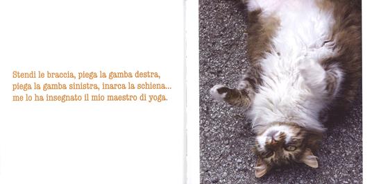 La parola ai gatti. Ediz. a colori - Patrizia Traverso - 5