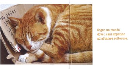 La parola ai gatti. Ediz. a colori - Patrizia Traverso - 3