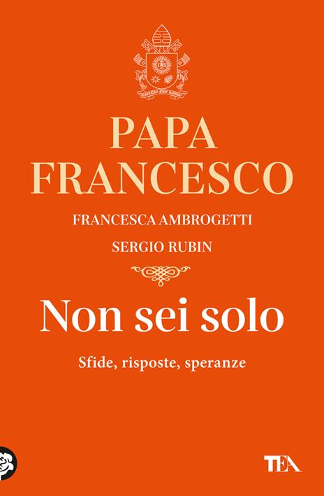 Non sei solo. Sfide, risposte, speranze - Sergio Rubin,Francesco (Jorge Mario Bergoglio),Francesca Ambrogetti - copertina