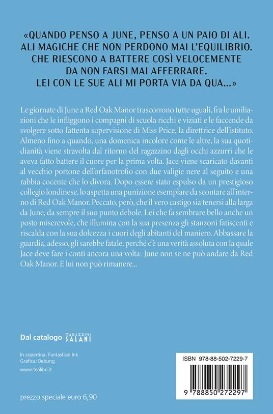 Wings. Red Oak Manor Collection - Valentina Ferraro - 2