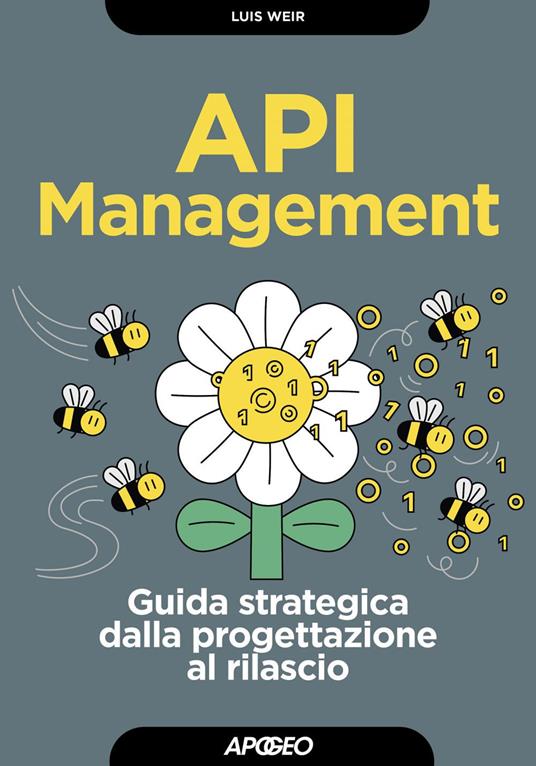 API management. Guida strategica dalla progettazione al rilascio - Luis Weir - ebook