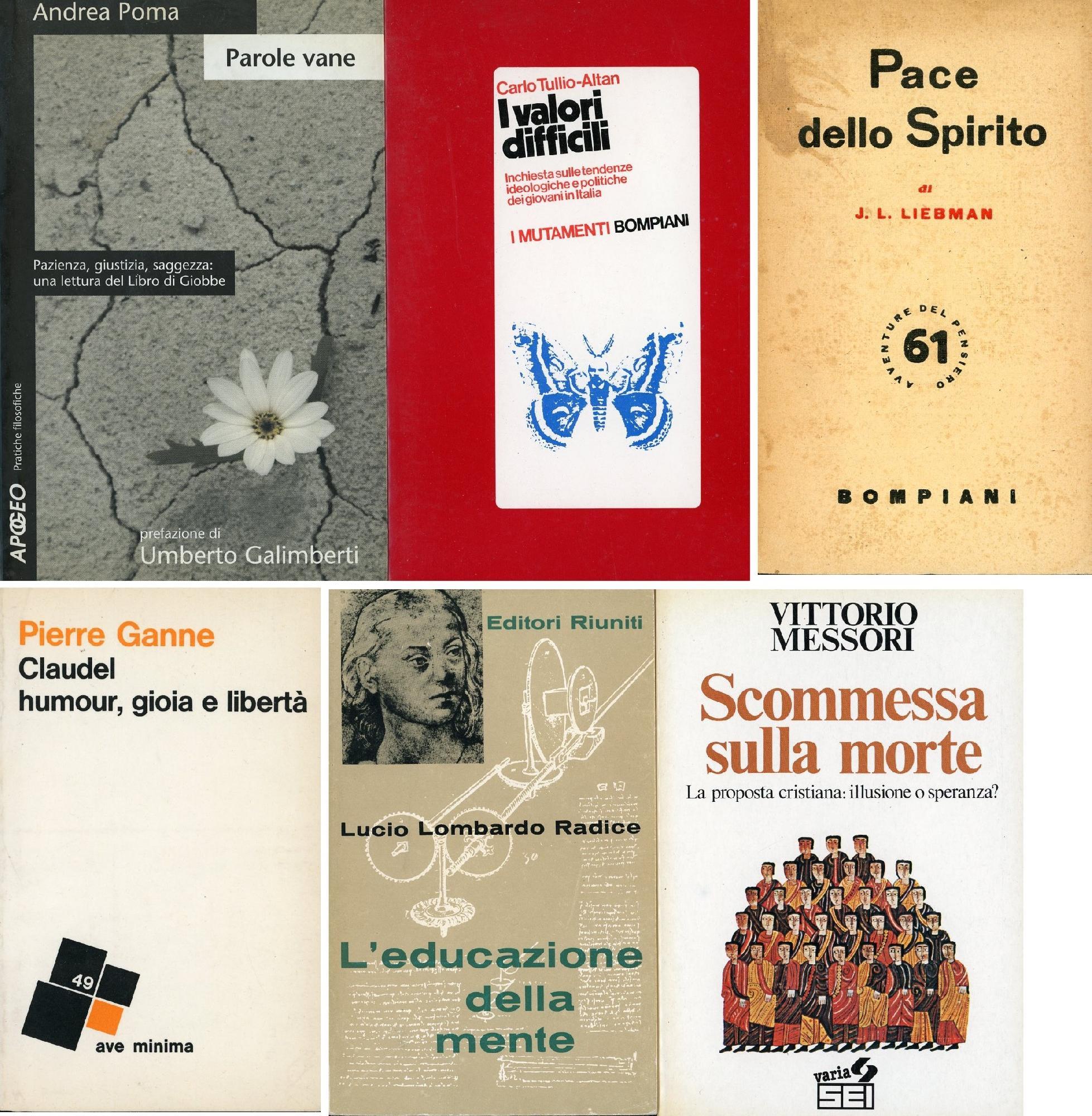 Parole vane. Pazienza, giustizia, saggezza: una lettura del Libro di Giobbe
