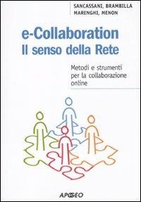 E-collaboration. Il senso della rete. Metodi e strumenti per la collaborazione online - copertina