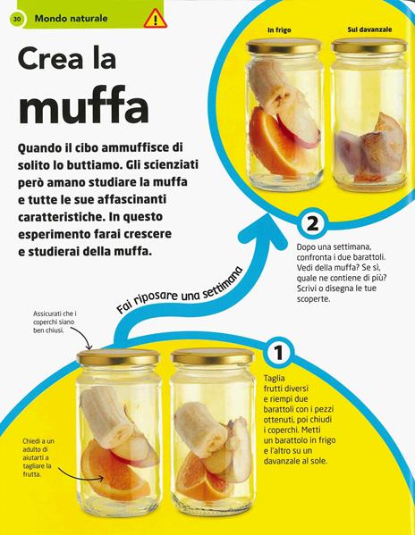 Come diventare uno scienziato - Steve Mould - 2