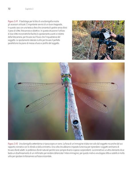 Macrofotografia. Strumenti e tecniche per catturare i dettagli del mondo - Alberto Ghizzi Panizza - 6