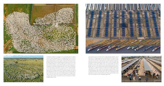 Nutrire il pianeta. Viaggio fotografico nel cibo del mondo - George Steinmetz - 6