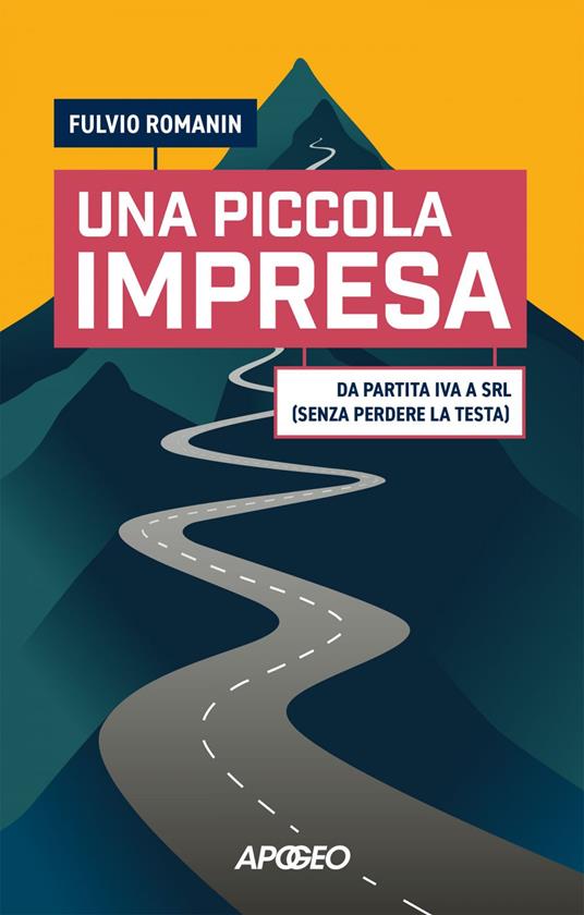 Una piccola impresa. Da partita IVA a srl (senza perdere la testa) - Fulvio Romanin - ebook