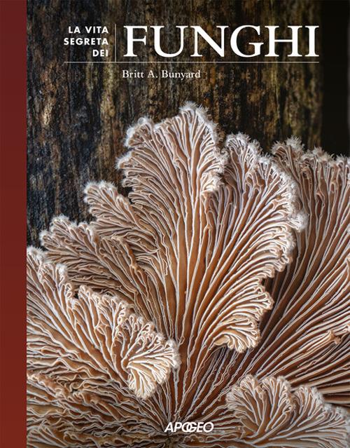 La vita segreta dei funghi - Britt A. Bunyard - copertina