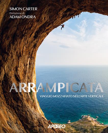 Arrampicata. Viaggio mozzafiato nell'arte verticale. Ediz. illustrata - Simon Carter - copertina
