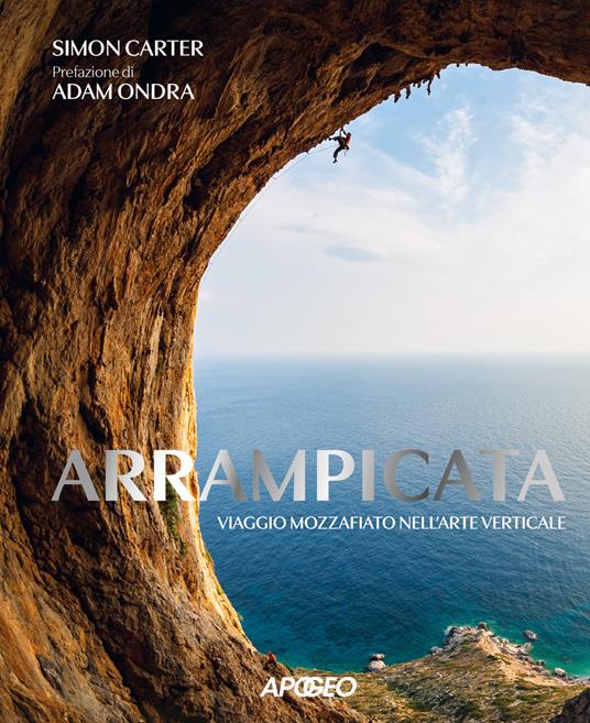Arrampicata. Viaggio mozzafiato nell'arte verticale. Ediz. illustrata - Simon Carter - copertina