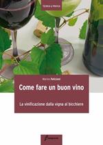 Come fare un buon vino. La vinificazione dalla vigna al bicchiere