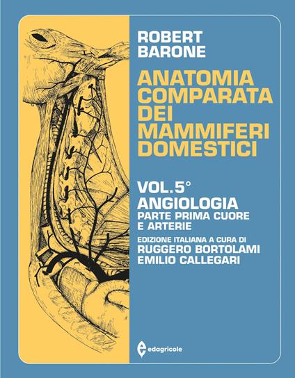 Trattato di anatomia comparata dei mammiferi domestici. Vol. 5/1: Angiologia. Cuore e arterie - Robert Barone - copertina