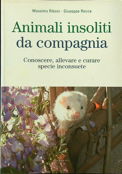 Libro di Faccia