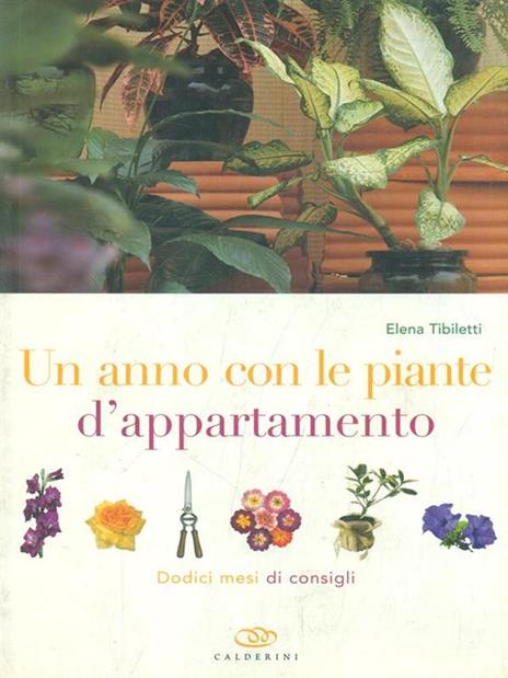 Un anno con le piante d'appartamento. Dodici mesi di consigli - Elena Tibiletti - 2