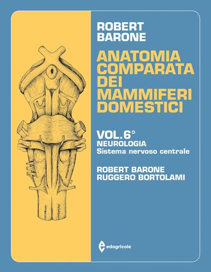 Anatomia comparata dei mammiferi domestici. Vol. 6: Neurologia, sistema nervoso centrale - Roberto Barone,Ruggero Bortolami - copertina