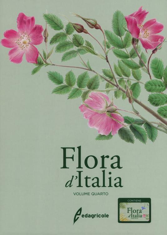 Flora d'Italia. Con USB Flash Drive. Vol. 4 - Sandro Pignatti - copertina
