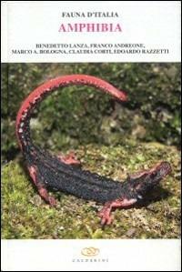 Amphibia. Vol. 42 - copertina
