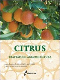 Citrus. Trattato di agrumicoltura. Ediz. illustrata - Vincenzo Vacante,Francese Calabrese - copertina