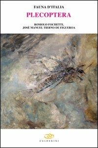 Plecoptera. Ediz. illustrata - Romolo Fochetti,Carlo A. Ravizza,Josè M. Tierno de Figueroa - copertina