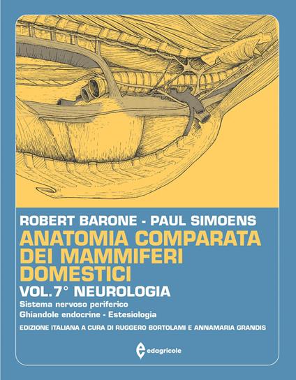 Anatomia comparata dei mammiferi domestici. Vol. 7/2: Neurologia (Sistema nervoso periferico - Ghiandole endocrine - Estesiologia) - Robert Barone,Paul Simoens - copertina