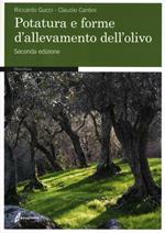 Potatura e forme di allevamento dell'olivo
