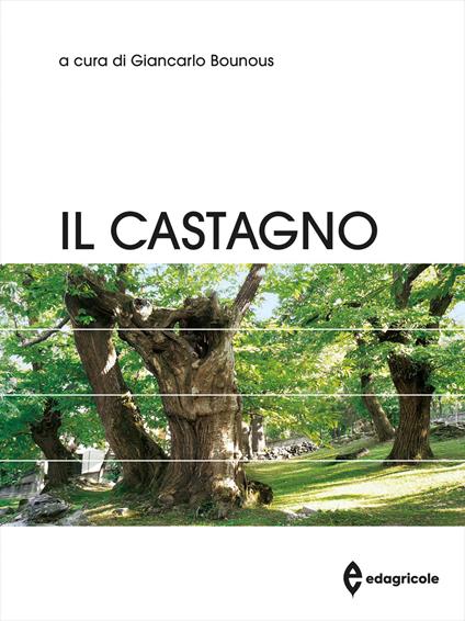 Il castagno - copertina