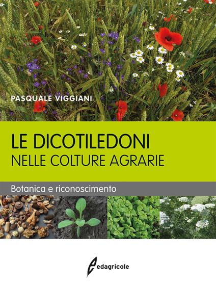 Le dicotiledoni nelle colture agrarie. Botanica e riconoscimento - Pasquale Viggiani - copertina