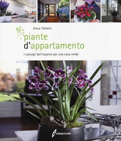 Piante d'appartamento. I consigli dell'esperto per una casa verde - Elena Tibiletti - copertina