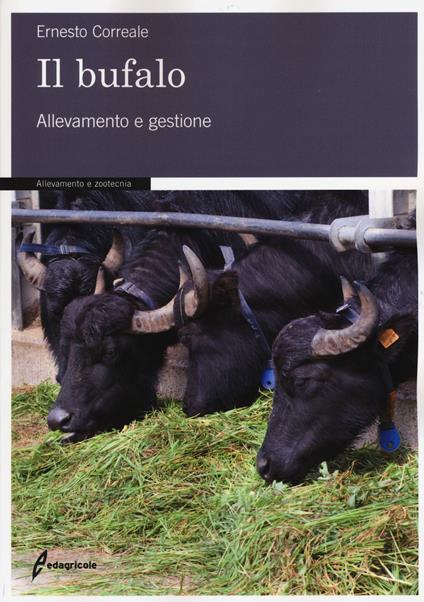 Il bufalo. Allevamento e gestione - Ernesto Correale - copertina