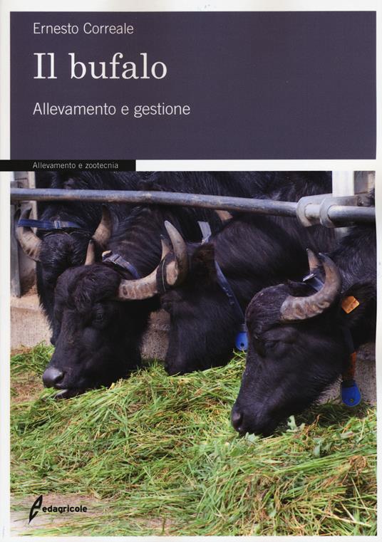 Il bufalo. Allevamento e gestione - Ernesto Correale - copertina