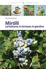 Mirtilli sul balcone, in terrazzo, in giardino