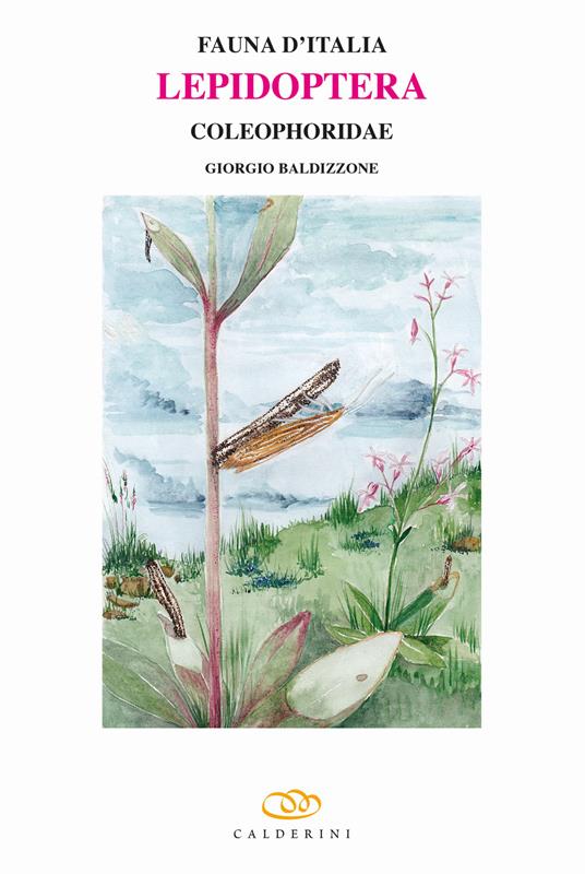 Lepidoptera. Coleophoridae - Giorgio Baldizzone - copertina