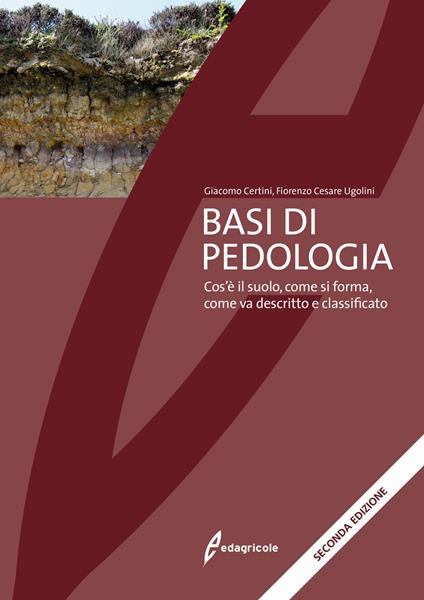 Basi di pedologia. Cos'è il suolo, come si forma, come va descritto e classificato. Nuova ediz. - Giacomo Certini,Fiorenzo Cesare Ugolini - copertina