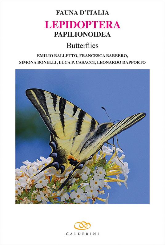 Lepidoptera Papilionoidea butterflies. Ediz. a colori - Emilio Balletto,Francesca Barbero,Simona Bonelli - copertina