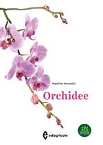 Orchidee