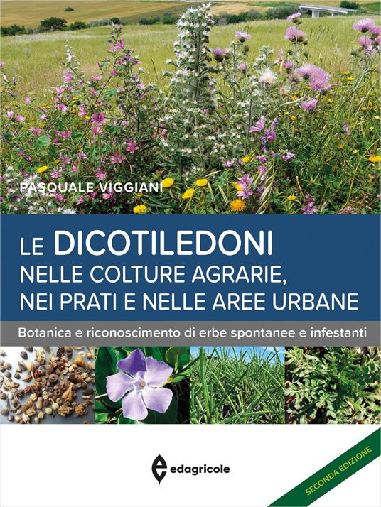 Le dicotiledoni nelle colture agrarie, nei prati e nelle aree urbane. Botanica e riconoscimento di erbe spontanee e infestanti - Pasquale Viggiani - copertina