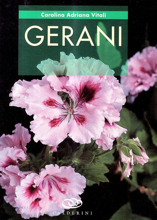 Gerani - Carolina A. Vitali - copertina